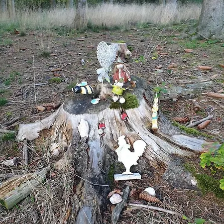 Andinas In Ruhiger Lage Direkt Am Wald Wilnsdorf